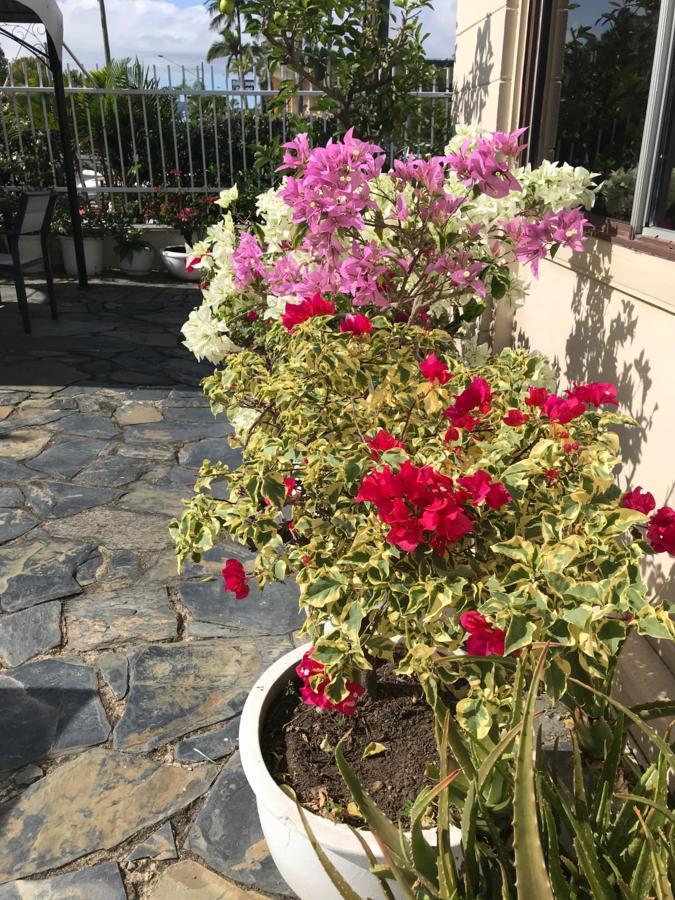 Cairns Motor Inn Εξωτερικό φωτογραφία